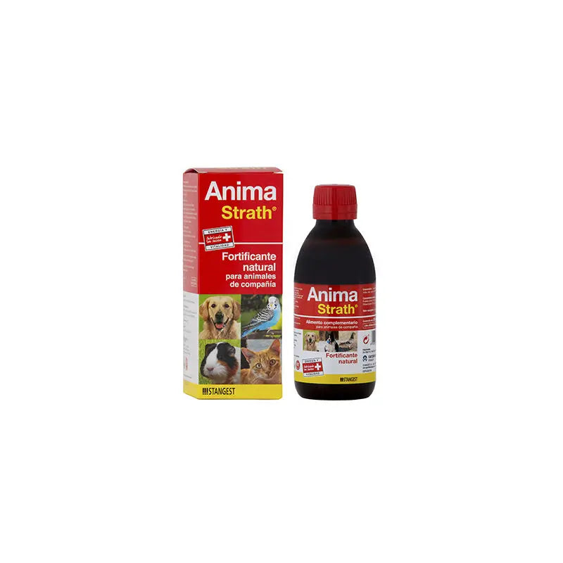 Strath Soul 250 ml - Reconstituyente Natural para Perros y Gatos (Stangest)