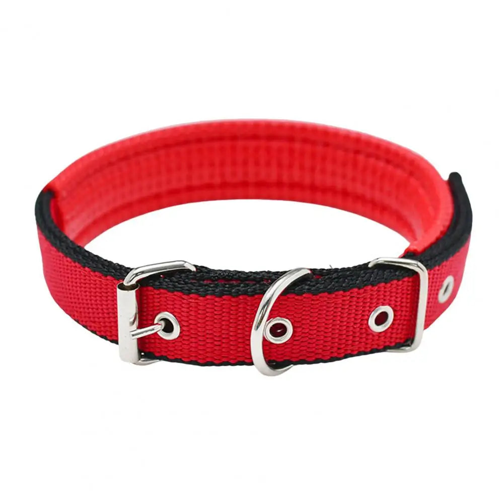 Collar de Nylon Ajustable para Perros - Anilla de Enganche Resistente
