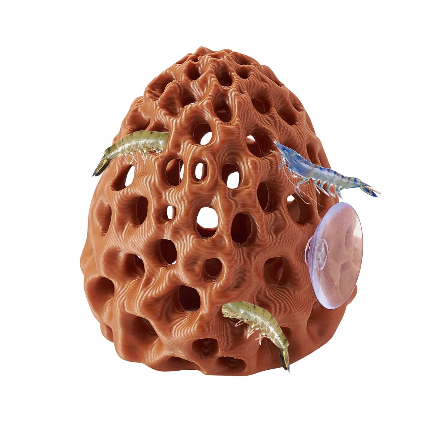 Escondite para Camarones y Peces Betta con Ventosa - Decoración de Acuario