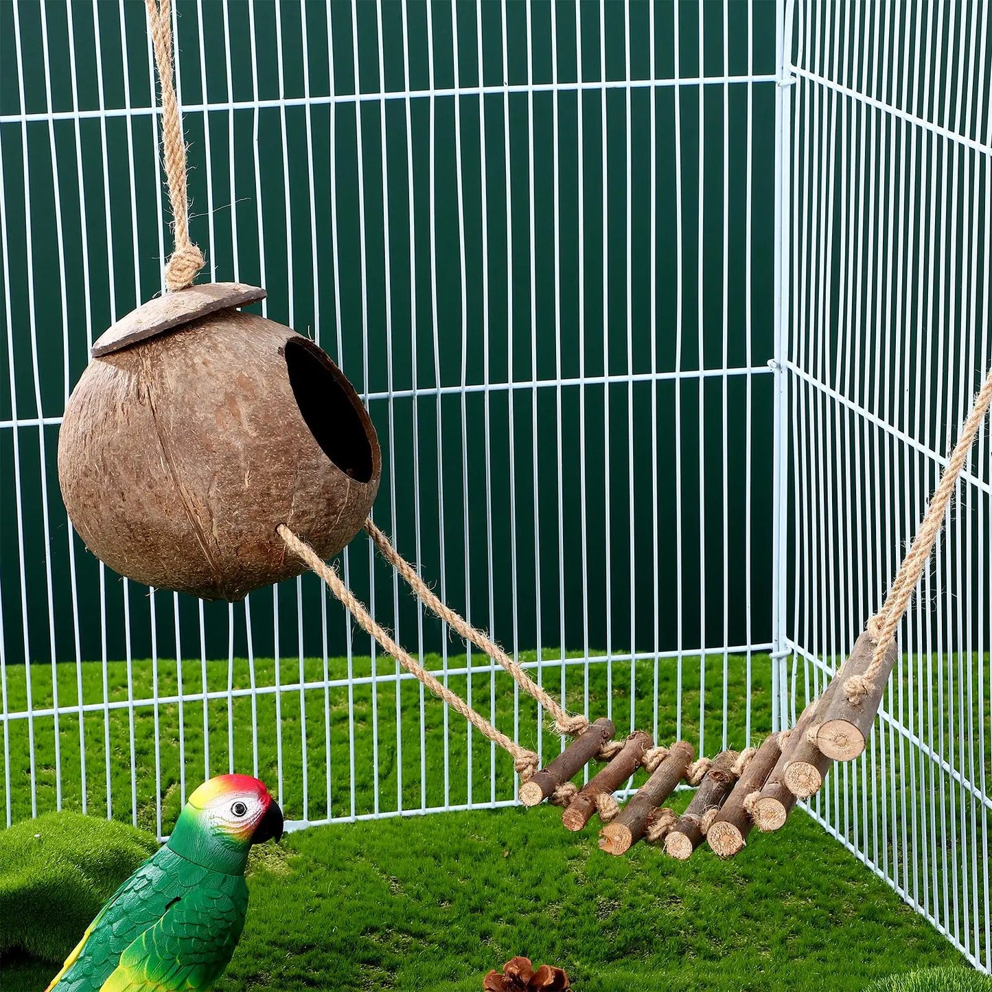 Escondite de Cáscara de Coco con Escalera para Trepar - Cueva para Geckos y Reptiles