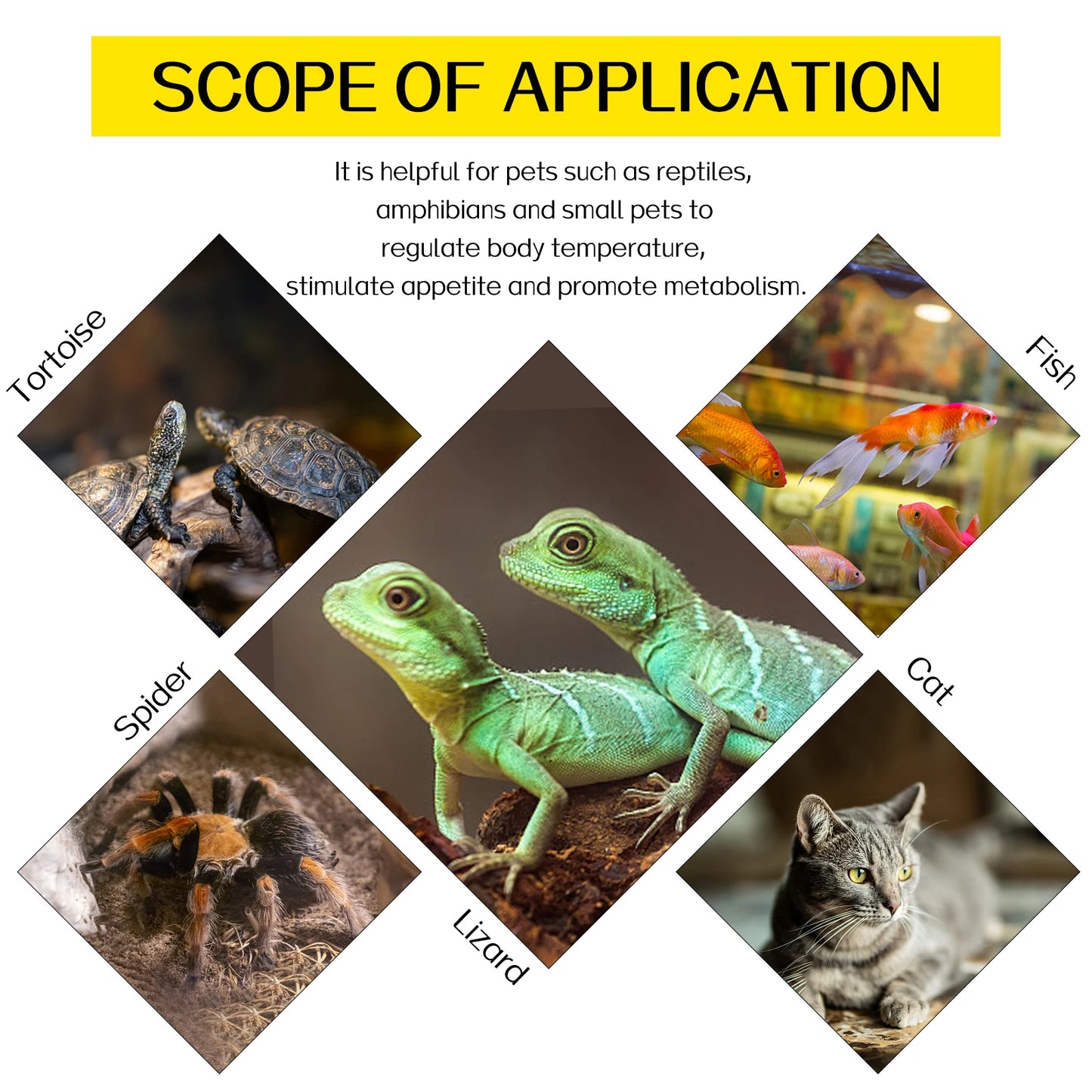 Manta Térmica para Reptiles con Controlador de Temperatura Ajustable - Lagartos, Tortugas y Acuarios