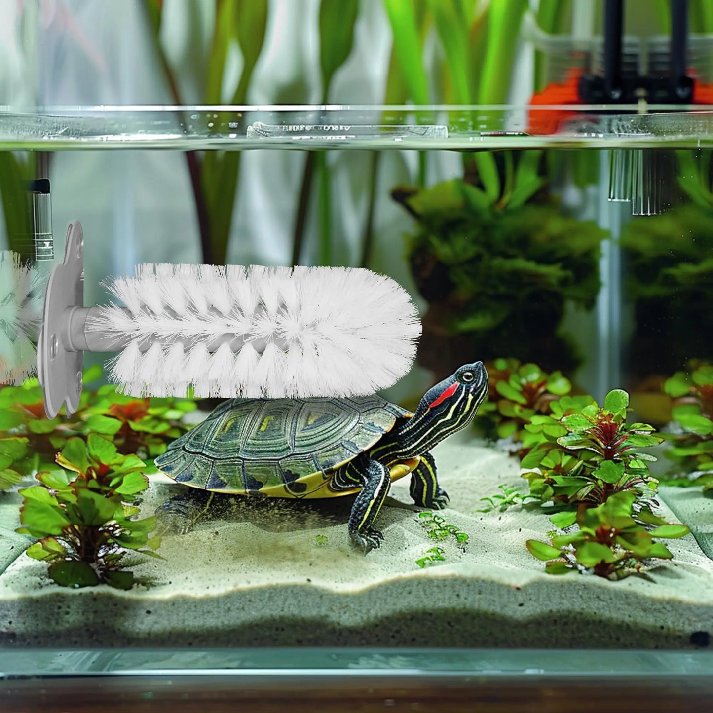 Cepillo con Ventosa de Cerdas Suaves para Tortugas - Limpiador y Masajeador de Caparazón