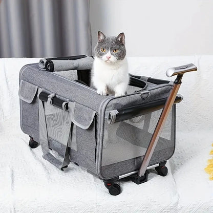 Maleta Trolley XL 🧳 – Desmontable y Plegable para Perros y Gatos