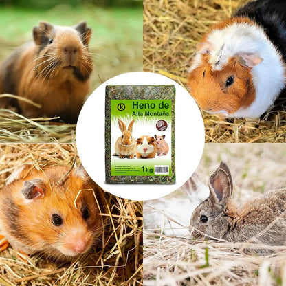 Krown Heno de Alta Montaña 🌾 – Con Hierbas Naturales para Hámsters y Pequeños Mamíferos (1 kg)