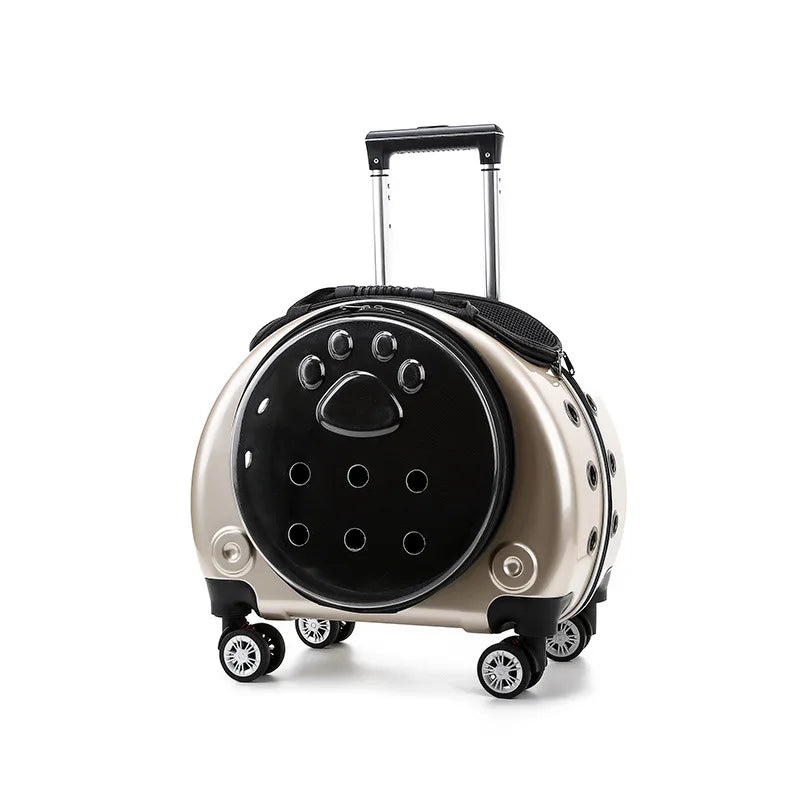 Mochila Transportín Transparente para Mascotas - Cápsula Espacial