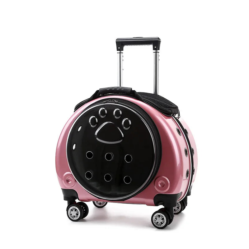 Mochila Transportín Transparente para Mascotas - Cápsula Espacial