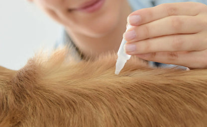 Diptron Pipetas Antiparasitarias 🛡️ – Para Perros hasta 20 kg (Pack 2 uds)