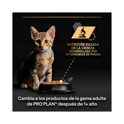 Pro Plan Kitten Healthy Start 🦃 – Trozos en Salsa con Pavo para Gatitos (85 g)