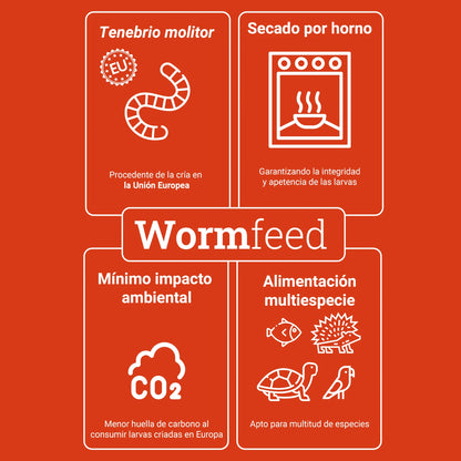 Wormfeed Mix 🐛 – Combinación de Insectos de Alta Calidad (1 kg)