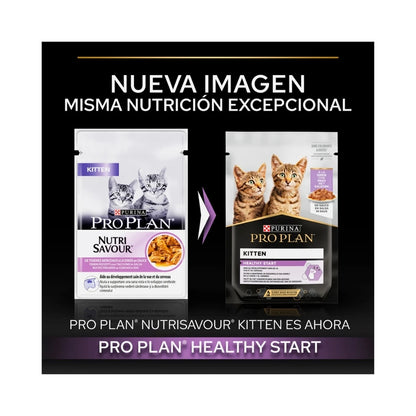 Pro Plan Kitten Healthy Start 🦃 – Trozos en Salsa con Pavo para Gatitos (85 g)