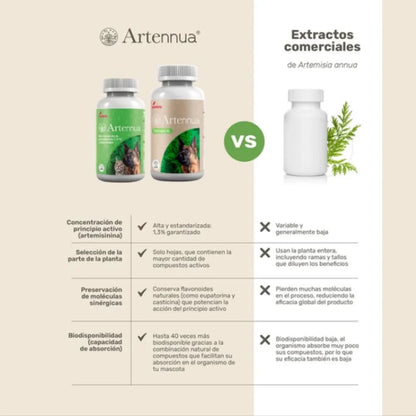 Artennua Artemisia Annua 🛡️ – 90 Cápsulas para el Sistema Inmunitario de Perros y Gatos