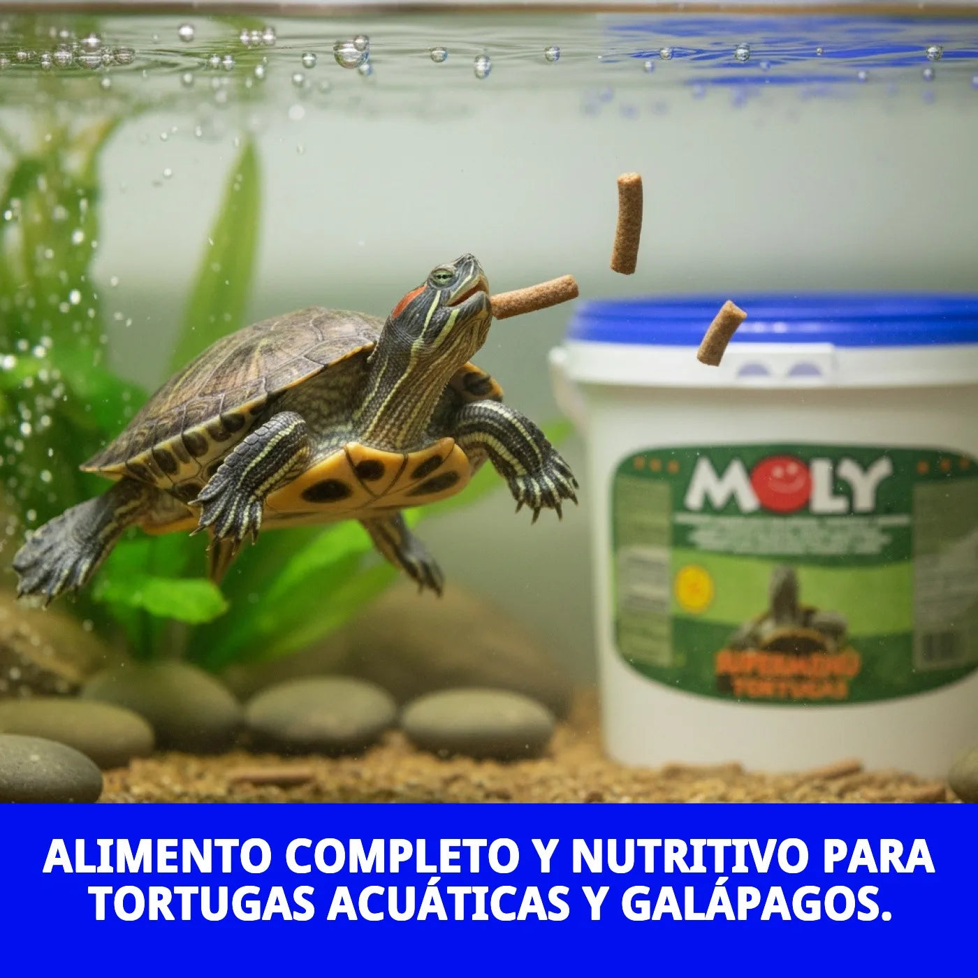 Moly Turtle Super Menú 1,5kg - Alimento Completo para Tortugas Acuáticas y Galápagos Europeos