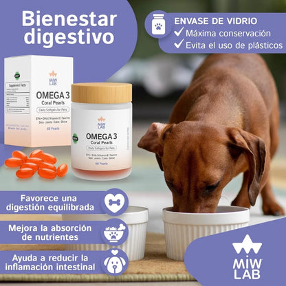 Miwlab Omega 3 🐟 – Perlas de Aceite de Salmón Noruego para Perros y Gatos (60 uds)