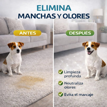 Limpiador Enzimático Quitamanchas y Olores 🧼 – Para Mascotas (5 L)