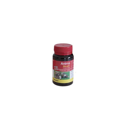 Strath Soul 1 L 💪 – Reconstituyente Natural para Perros y Gatos (Stangest)