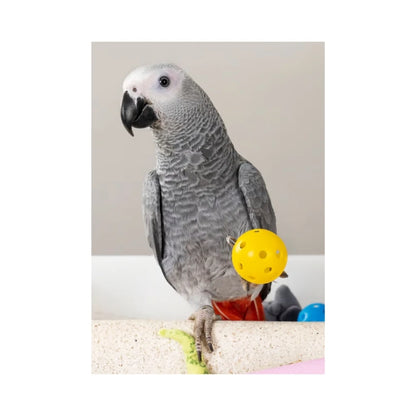 Psittacus High Energy 🦜 – Pienso de Mantenimiento para Papagayos