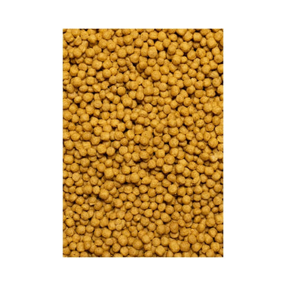 Psittacus Mini 🐤 – Pienso de Mantenimiento para Aves Pequeñas (450g/3kg/12kg)