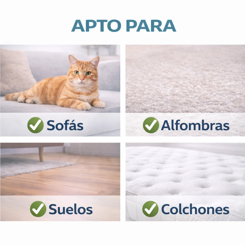 Limpiador Enzimático Quitamanchas y Olores para Mascotas - 5L