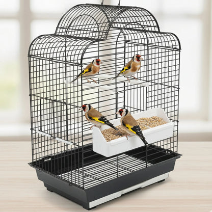 Deli Nature Tarins & Chardonnerets Supreme 🐤 – Alimento Premium para Jilgueros (20 kg)