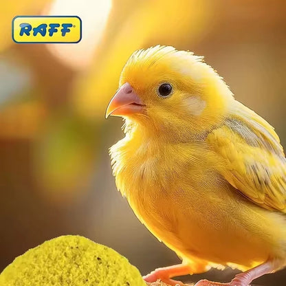 Raff Cova 🐦 – Pasta Blanda de Cría para Aves (Pack 2x300 g)