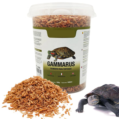 Gammarus 🦐 – Alimento para Tortugas y Galápagos (30 g / 280 ml)