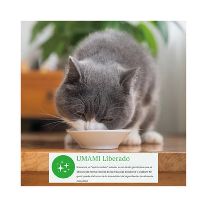 Dashi Delights Pollo con Vieira 🍲 – Complemento Húmedo Natural para Gatos (70 g)