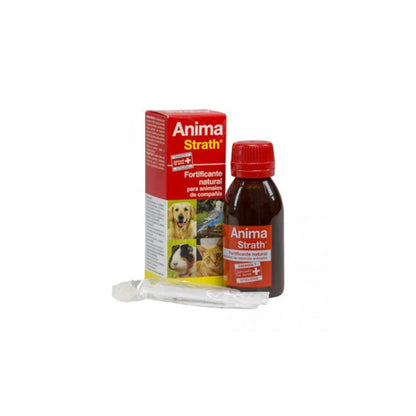 Strath Soul 1 L 💪 – Reconstituyente Natural para Perros y Gatos (Stangest)