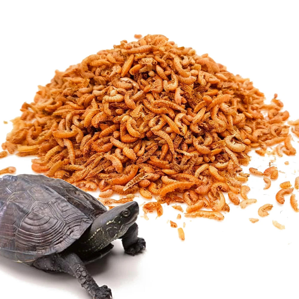 Gammarus - Alimento para Tortugas y Galápagos 30g/280ml