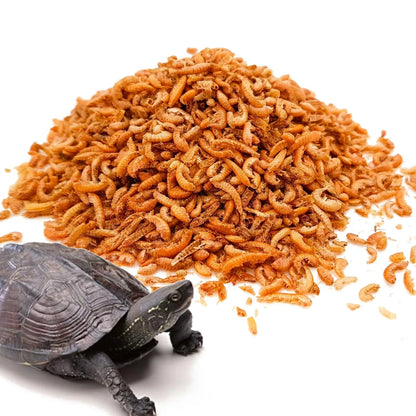 Gammarus 🦐 – Alimento para Tortugas y Galápagos (30 g / 280 ml)