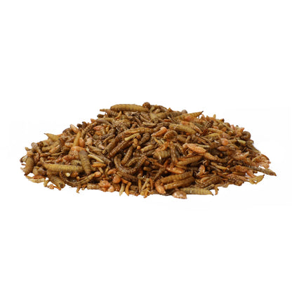 Wormfeed Mix 🐛 – Combinación de Insectos de Alta Calidad (1 kg)