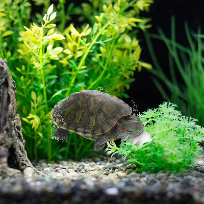 Comida BPS para Tortugas Acuáticas 🐢 – Gammarus y Sticks (Varios Tamaños)