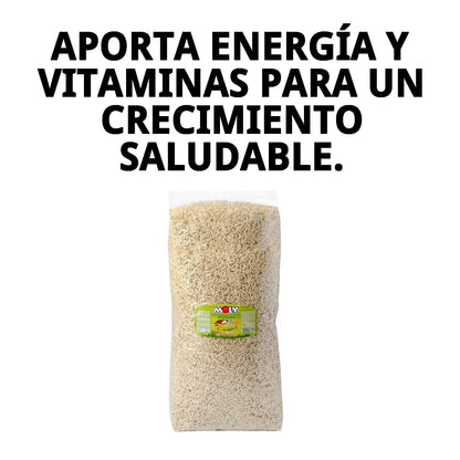 Moly 🐟 – Alimento Completo en Stick para Peces de Estanque (4 kg)