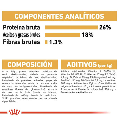 Royal Canin Bulldog Francés Adult 🐶 – Alimento Seco Específico para Perros Adultos (9 kg)