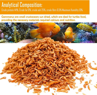 Gammarus 🦐 – Alimento Natural Flotante para Tortugas Acuáticas (500 ml)