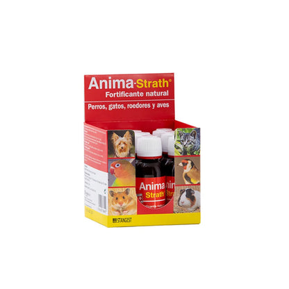 Strath Soul 1 L 💪 – Reconstituyente Natural para Perros y Gatos (Stangest)
