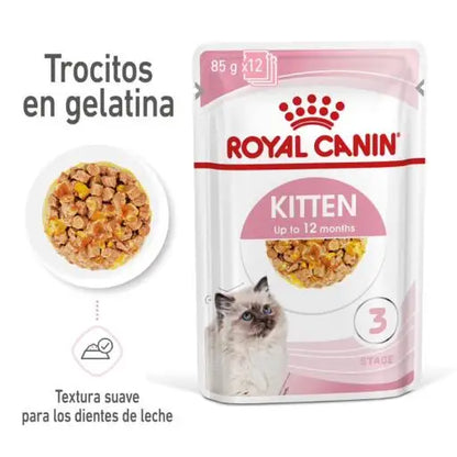 Royal Canin Kitten 🐱 – Alimento Húmedo en Gelatina para Gatitos (85 g)