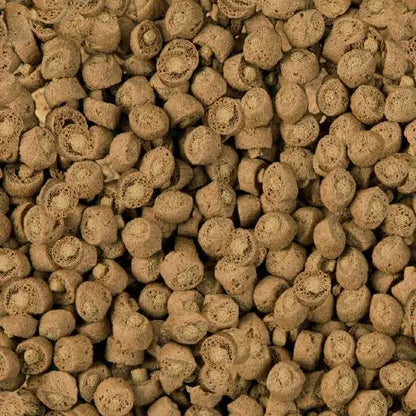 Sera Reptile Professional Carnivor Nature 🦎 – Alimento Bicomponente para Reptiles Carnívoros (310 g)