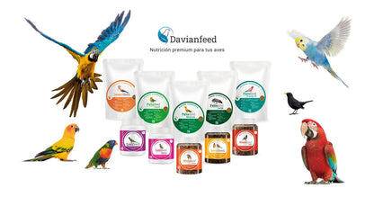 Psitafeed Baby 🐦 – Papilla de Cría para Loros, Guacamayos, Agapornis, Ninfas y Canarios (3 kg)