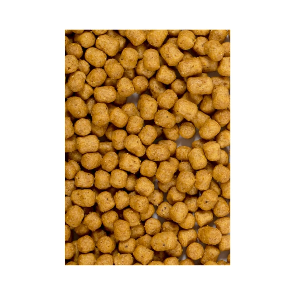 Psittacus Parrot Maintenance - Pienso de Mantenimiento para Loros Medianos y Grandes (3kg / 15kg)
