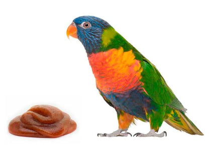Lorifeed 🌺 – Néctar Completo Natural para Aves Nectarívoras (500 g)