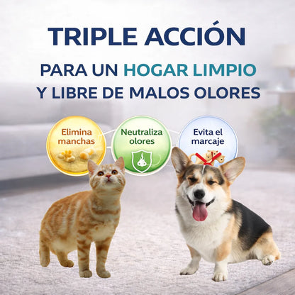 Limpiador Enzimático Quitamanchas y Olores 🧼 – Para Mascotas (5 L)