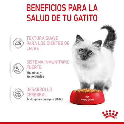 Royal Canin Kitten 🐱 – Alimento Húmedo en Gelatina para Gatitos (85 g)