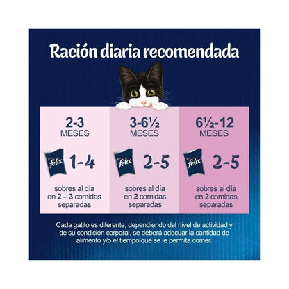 Felix Fantastic Junior 🐱 – Selección en Gelatina para Gatitos (4x85 g)