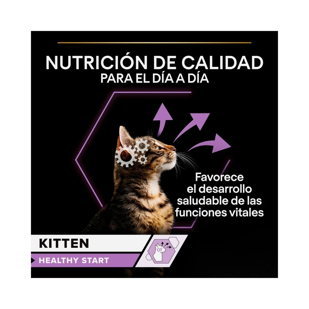 Pro Plan Kitten Healthy Start Trozos en Salsa con Pavo (85 g)