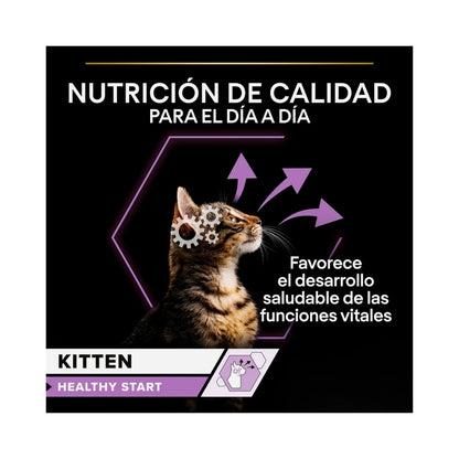 Pro Plan Kitten Healthy Start 🦃 – Trozos en Salsa con Pavo para Gatitos (85 g)