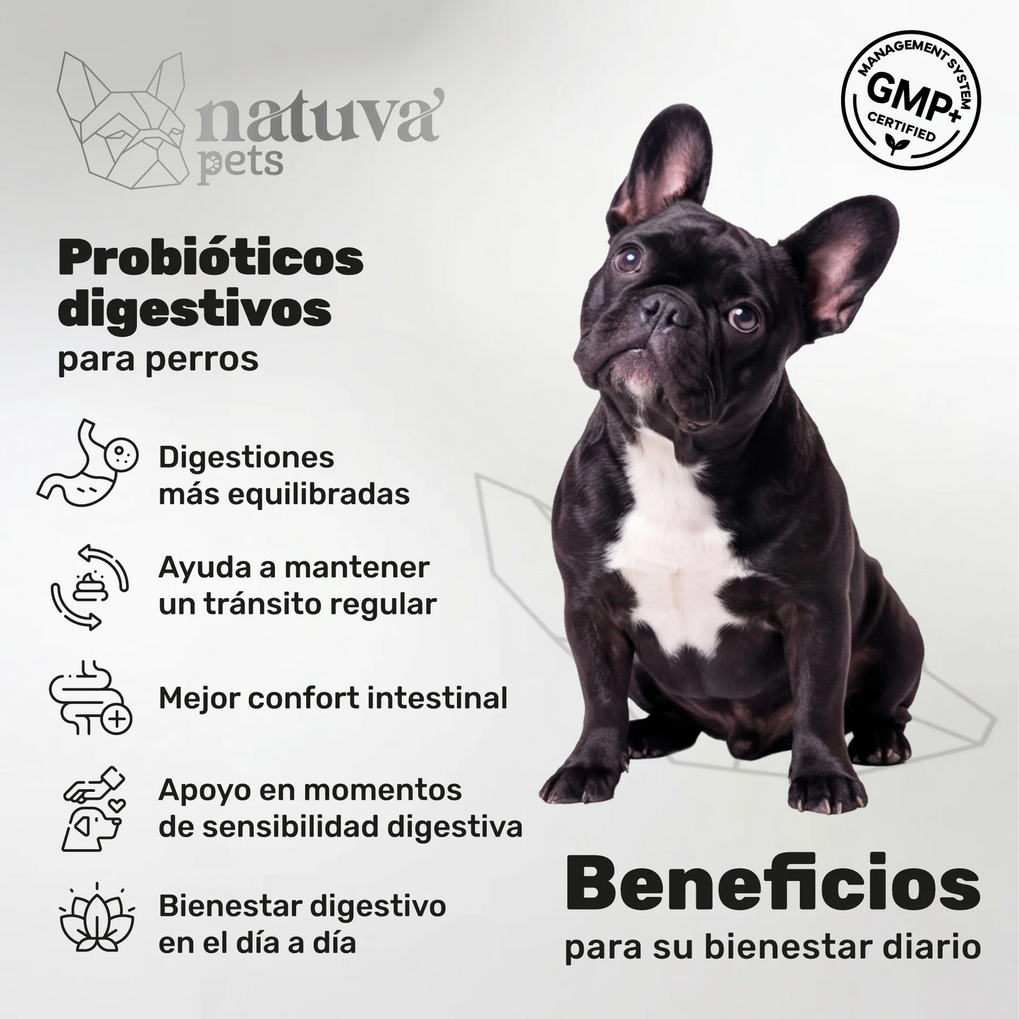 Natuva Pets Probióticos para Perros - 120 Masticables - Equilibrio Intestinal