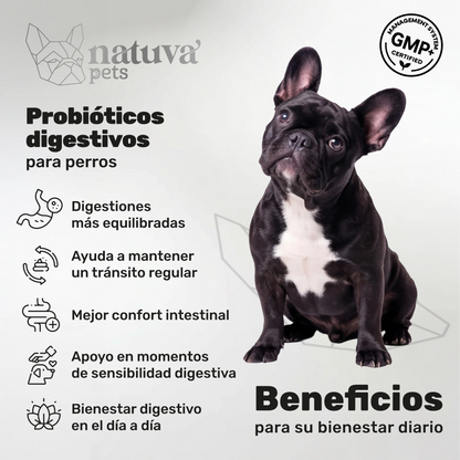Natuva Pets Probióticos 🌱 – 120 Masticables para el Equilibrio Intestinal de tu Perro