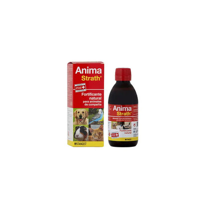 Strath Soul 1 L 💪 – Reconstituyente Natural para Perros y Gatos (Stangest)