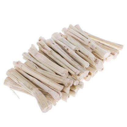 Palitos de Bambú Dulce 🎋 – Snack Dental para Hámsters, Chinchillas, Conejos, Loros y Ratas (500 g)