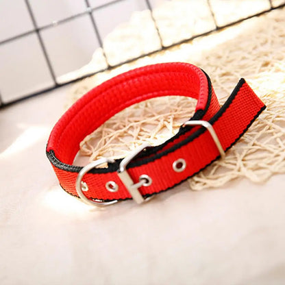 Collar de Nylon Ajustable 🐕 – Anilla de Enganche Resistente para Perros